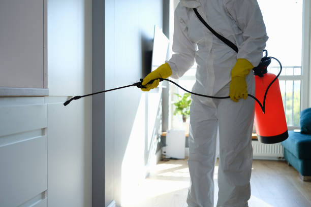 Best Residential Mold Remediation in Calhoun City, MS